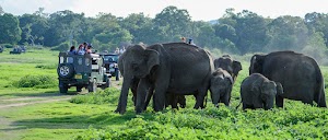Nilanka Tours place picture